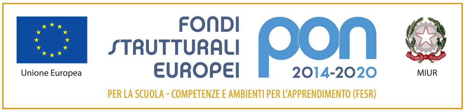 Pon 2014-2020 - logo fesr
